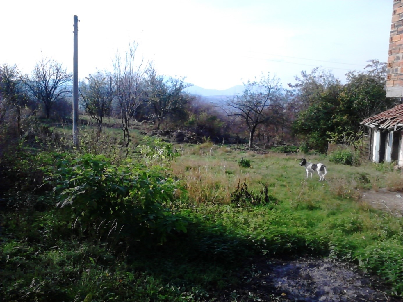 Продава КЪЩА | Imot.bg — изображение 3