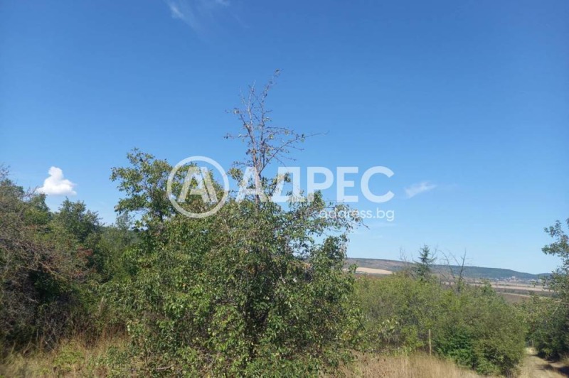 De vânzare  Complot regiunea Dobrich , Cranevo , 673 mp | 88871752 - imagine [3]