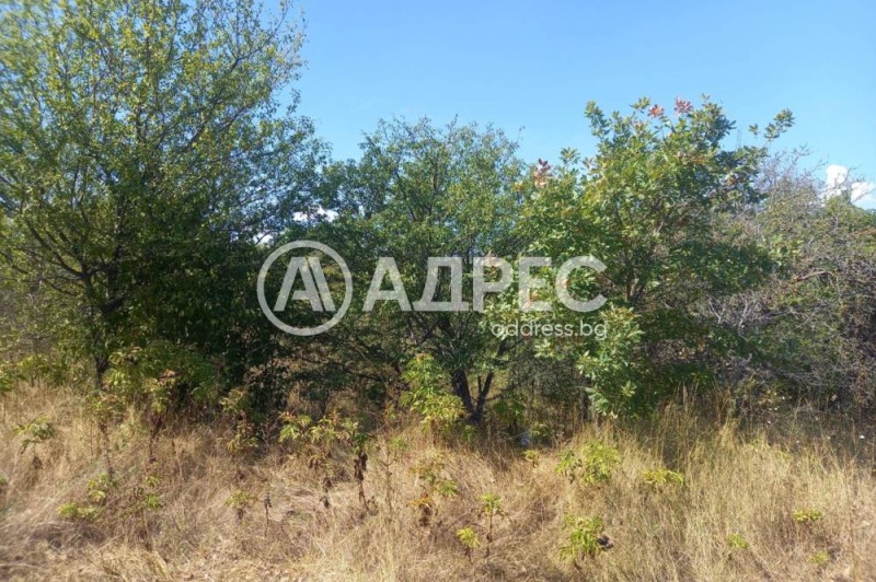 De vânzare  Complot regiunea Dobrich , Cranevo , 673 mp | 88871752 - imagine [2]
