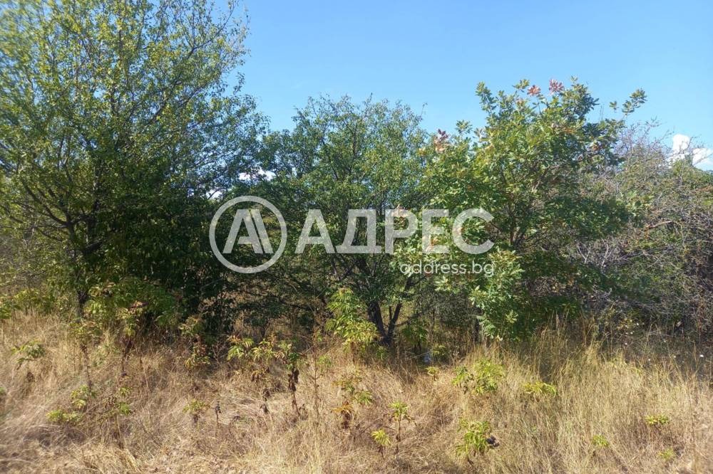 Продава ПАРЦЕЛ, с. Кранево, област Добрич, снимка 2 - Парцели - 54716294