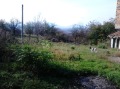 Продава КЪЩА, с. Видрица, област Перник, снимка 2