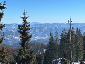 1 soveværelse k.k. Pamporovo, region Smolyan 4