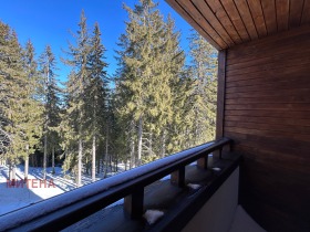 1 bedroom k.k. Pamporovo, region Smolyan 9