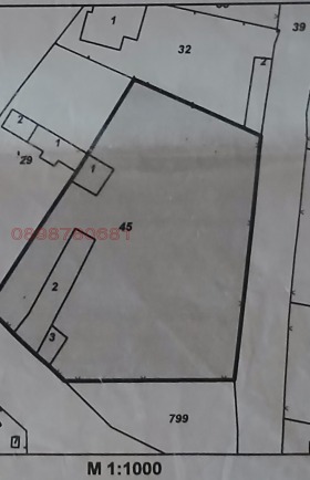 ������ ������� ������