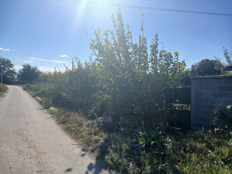 Продава ПАРЦЕЛ, с. Маноле, област Пловдив, снимка 5 - Парцели - 53534456
