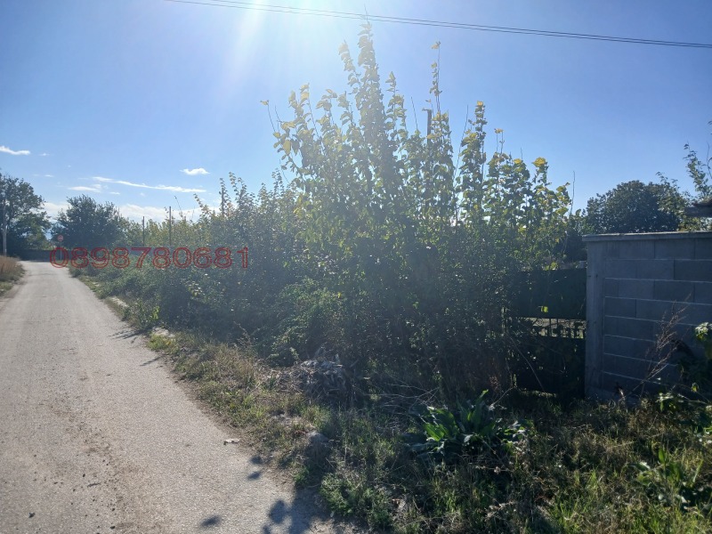 Продава ПАРЦЕЛ, с. Маноле, област Пловдив, снимка 4 - Парцели - 53534456