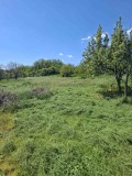 Продава  Къща област Силистра , с. Зафирово , 114 кв.м | 11621537 - изображение [6]