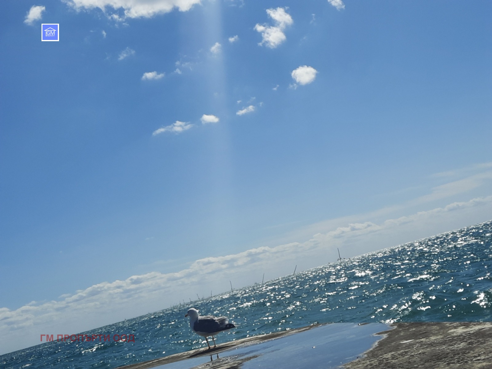 ������� 2-����� | Imot.bg � ����������� 17