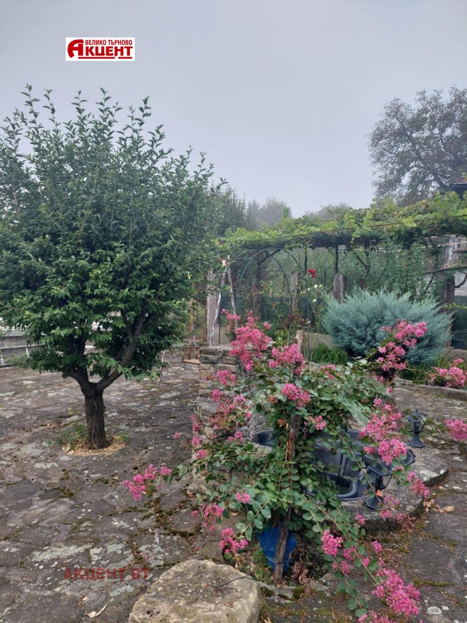 ������� ���� | Imot.bg � ����������� 5