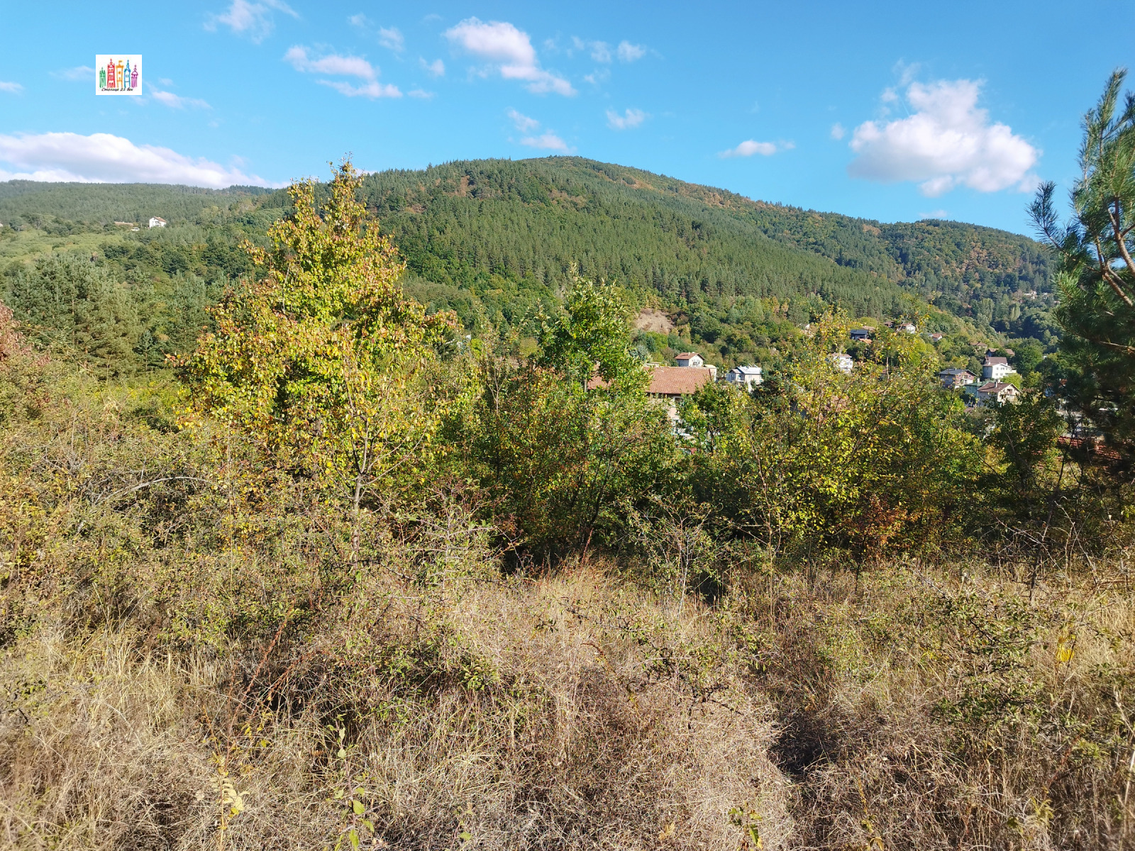 ������� ������ | Imot.bg � ����������� 7