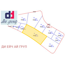 ����� ������� ������,���� �����, ���������