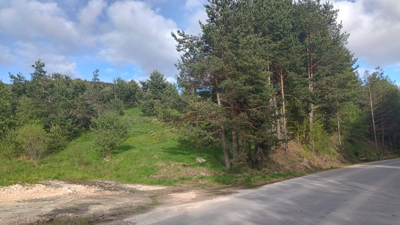 Zu verkaufen  Handlung region Pasardschik , Sarniza , 828 qm | 53423473 - Bild [4]