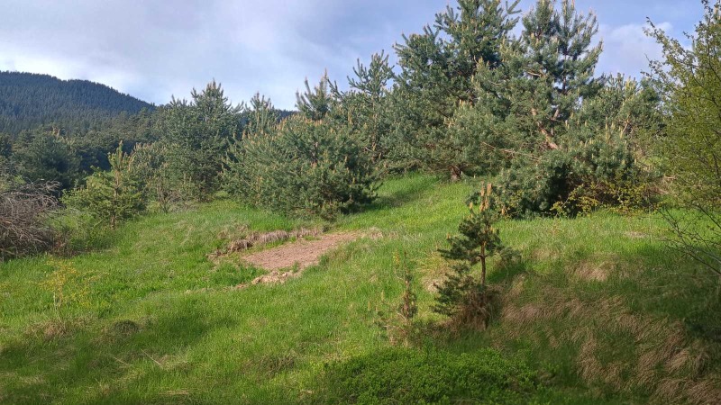 Zu verkaufen  Handlung region Pasardschik , Sarniza , 828 qm | 53423473 - Bild [2]