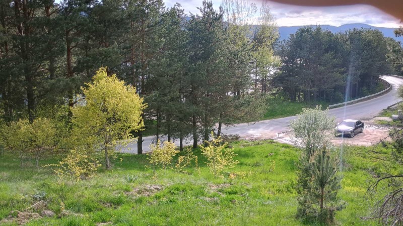 Zu verkaufen  Handlung region Pasardschik , Sarniza , 828 qm | 53423473 - Bild [3]