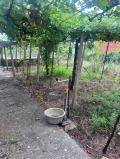 Продава КЪЩА, с. Баница, област Враца, снимка 7