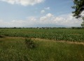 Продава ПАРЦЕЛ, гр. София, с. Световрачене, снимка 2