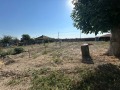 Продава КЪЩА, област Пловдив, с. Момино село • 115000 € • 57199388 — Holmes.bg