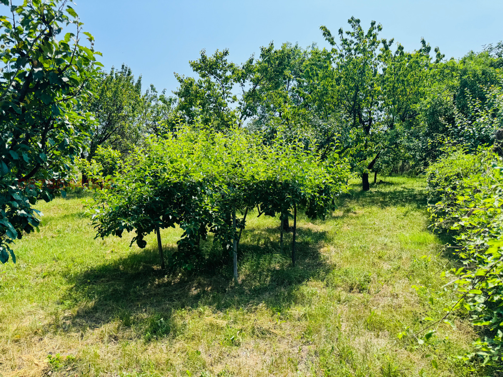 Продава КЪЩА | Imot.bg — изображение 4