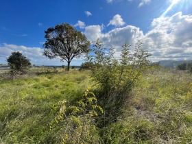 ������� ������ | Imot.bg � ����� ������ 5