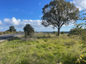 ������� ������ | Imot.bg � ����� ������ 8