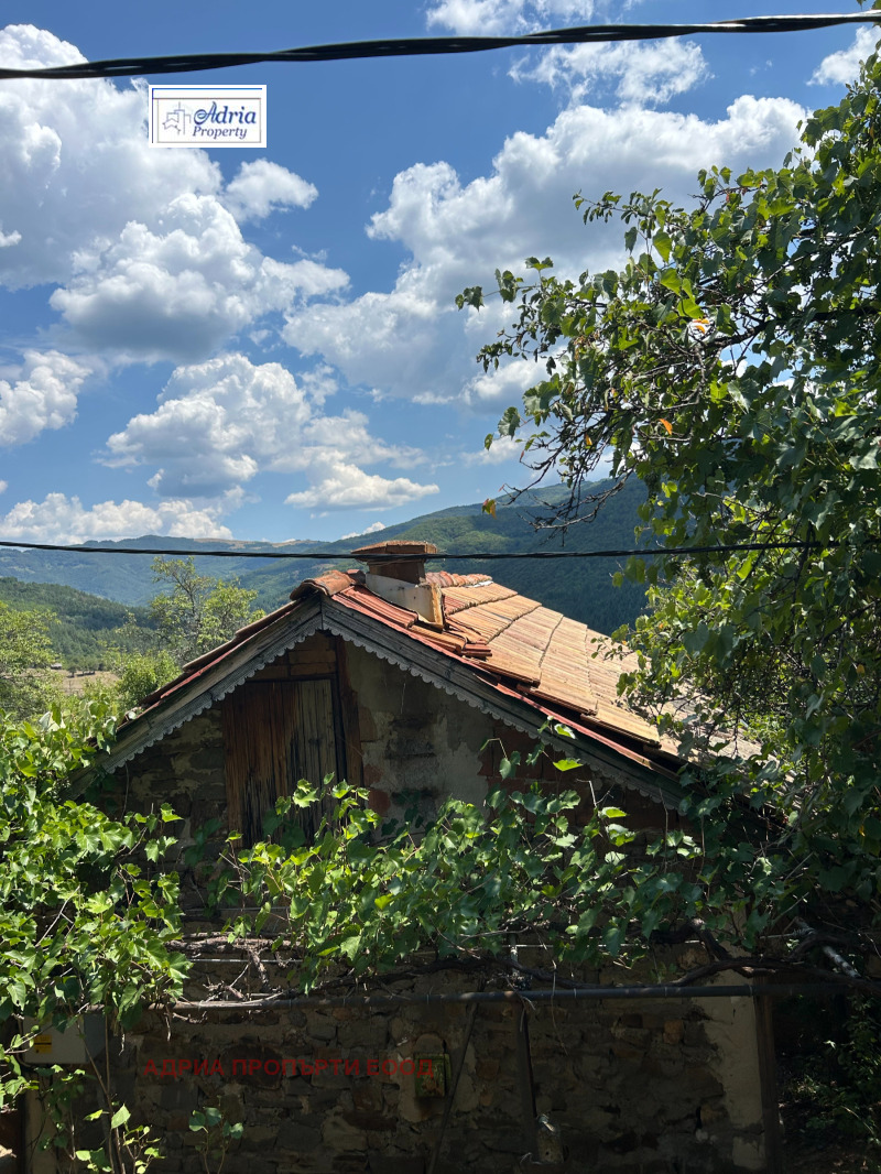 Te koop  Villa regio Sofia , Leskovdol , 40 m² | 62104156 - afbeelding [3]