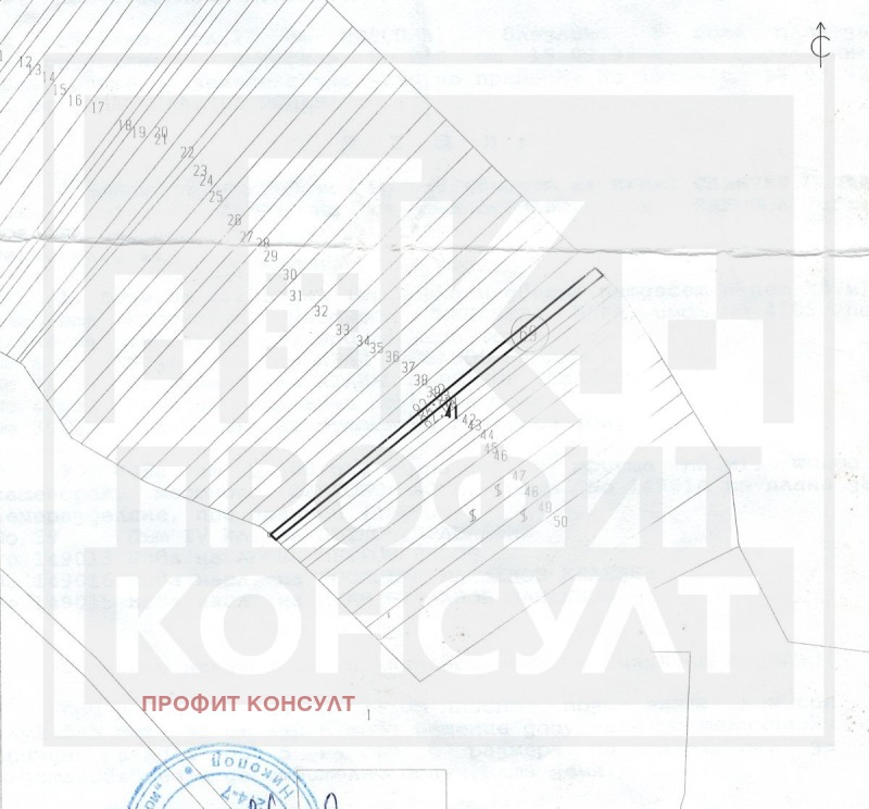 Продава  Земеделска земя област Плевен , с. Евлогиево , 29 дка | 74200153 - изображение [3]