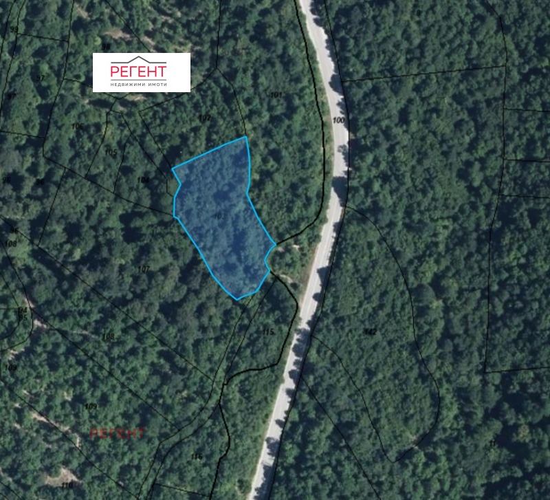 Продава ЗЕМЕДЕЛСКА ЗЕМЯ, гр. Габрово, област Габрово, снимка 2 - Земеделска земя - 53032929