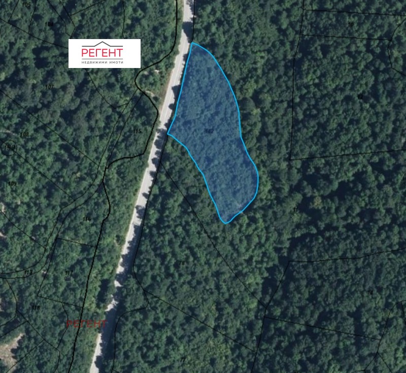 Продава ЗЕМЕДЕЛСКА ЗЕМЯ, гр. Габрово, област Габрово, снимка 4 - Земеделска земя - 53032929