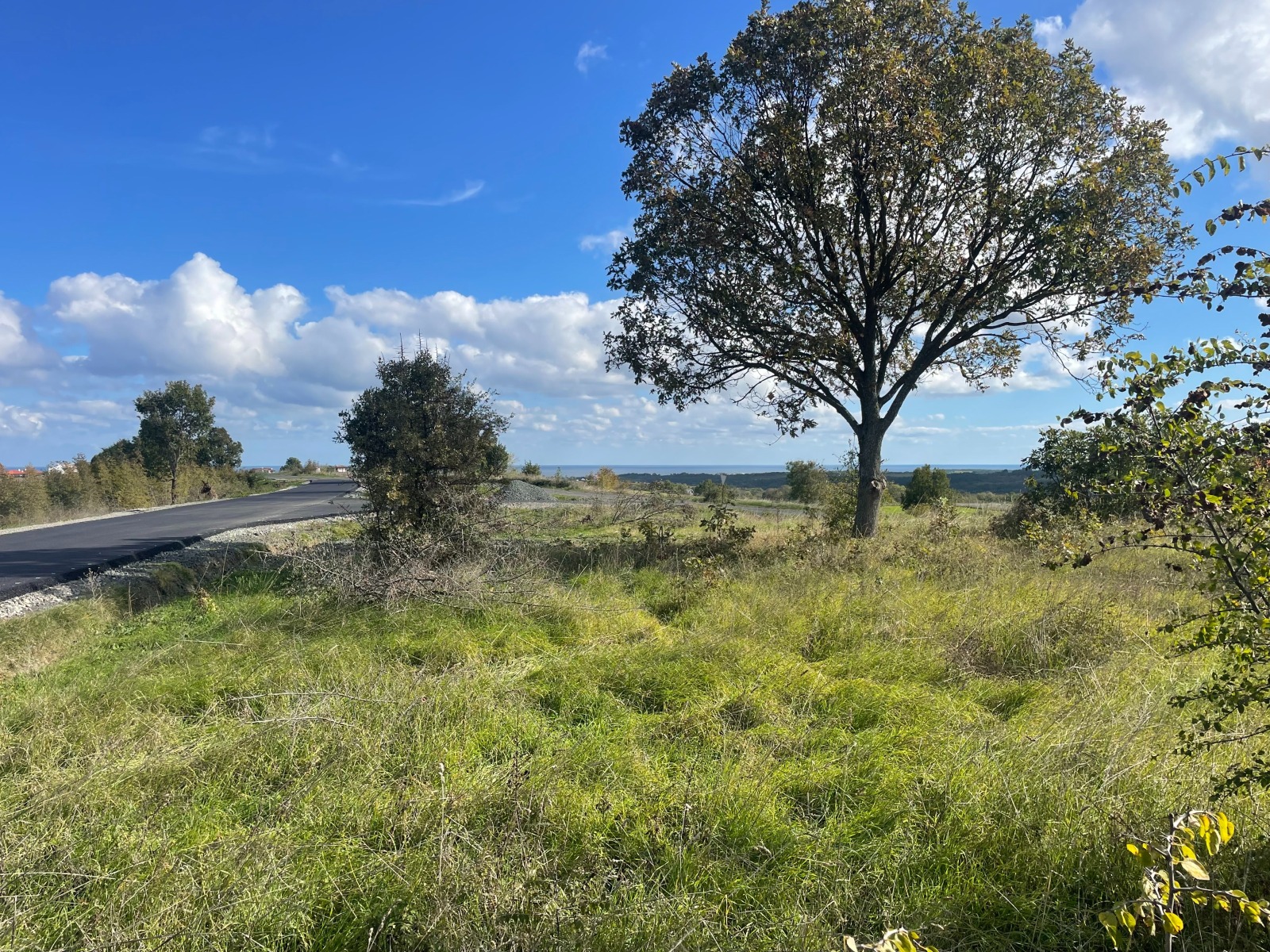 Продава ПАРЦЕЛ, с. Лозенец, област Бургас, снимка 8 - Парцели - 54119830