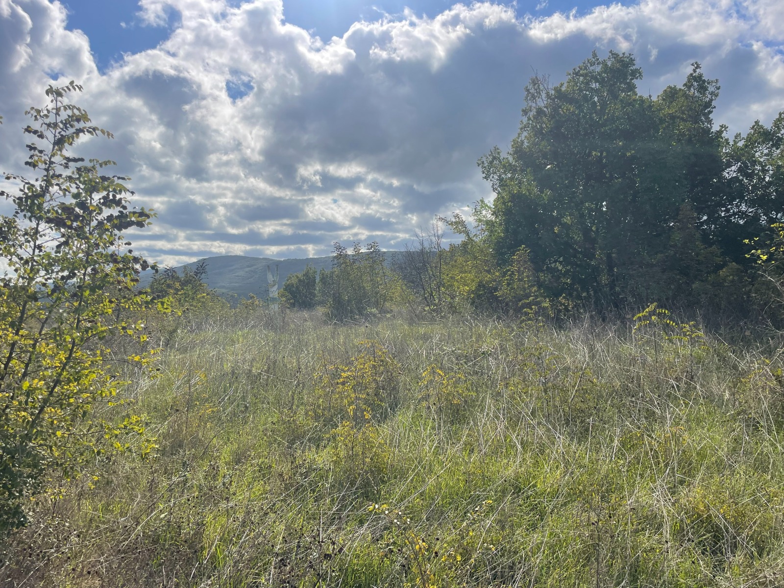 Продава ПАРЦЕЛ, с. Лозенец, област Бургас, снимка 9 - Парцели - 54119830