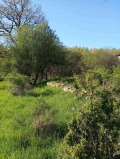 Продава ПАРЦЕЛ, с. Ръжана, област София област, снимка 3