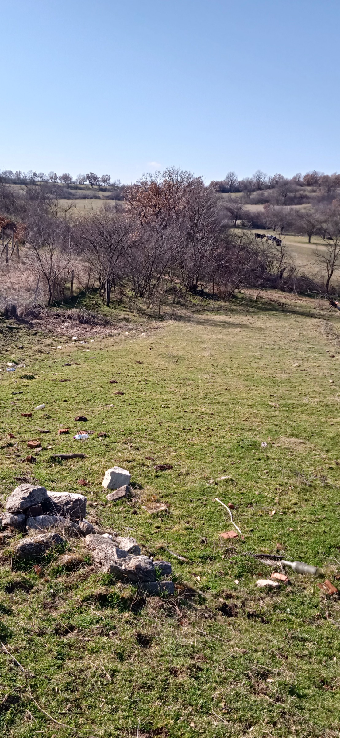 ������� ���� | Imot.bg � ����������� 8