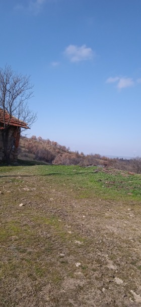 ������� ���� | Imot.bg � ����� ������ 10