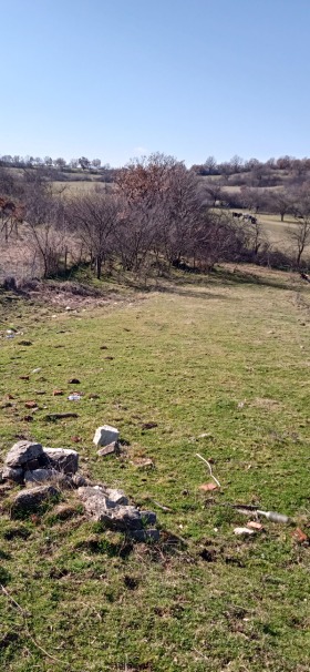 ������� ���� | Imot.bg � ����� ������ 8