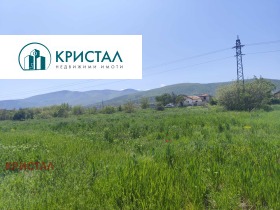 ������ ������� ������