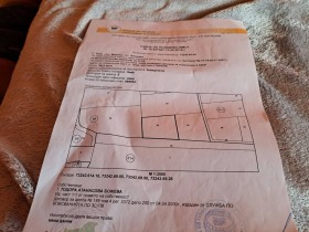 ������ ������� ���������� ����