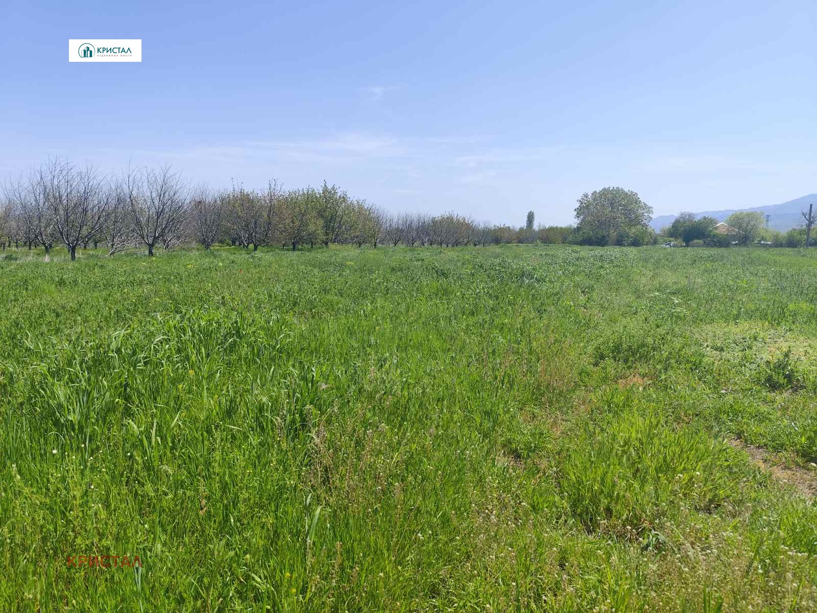 Продава ПАРЦЕЛ, с. Брестник, област Пловдив, снимка 2 - Парцели - 53252290