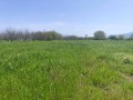 Продава ПАРЦЕЛ, с. Брестник, област Пловдив, снимка 2