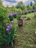 Продава КЪЩА, област Габрово, гр. Севлиево • 150000 лв. / 76693.78 € • 92766624 4