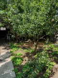 Продава  Къща област София , гр. Костинброд , 57 кв.м | 33965533 - изображение [2]