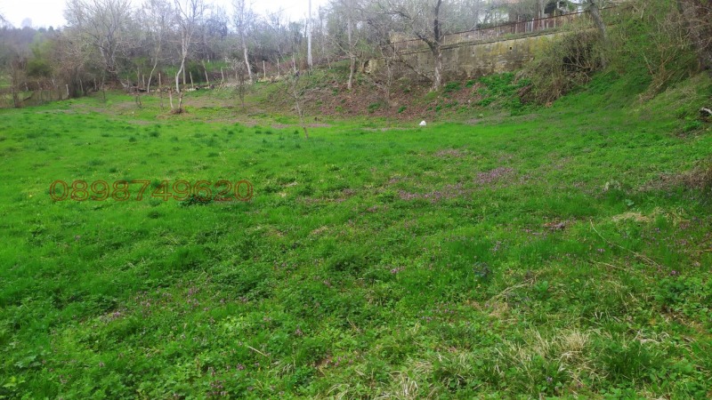 Продава ПАРЦЕЛ, с. Войнежа, област Велико Търново, снимка 3 - Парцели - 52779073