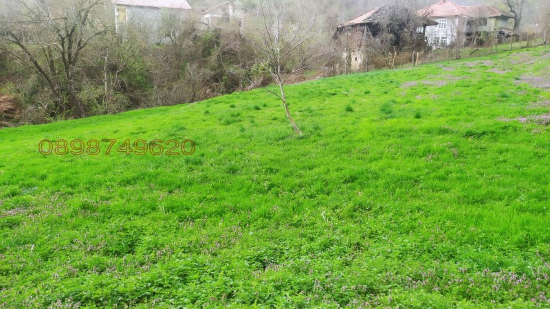 Продава ПАРЦЕЛ, с. Войнежа, област Велико Търново, снимка 13 - Парцели - 52779073