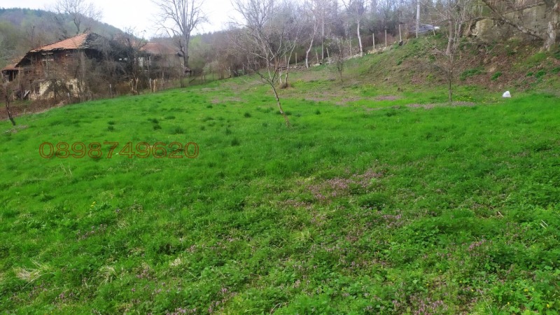 Продава ПАРЦЕЛ, с. Войнежа, област Велико Търново, снимка 10 - Парцели - 52779073