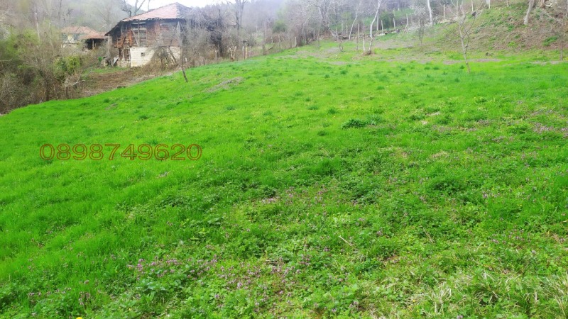 Продава ПАРЦЕЛ, с. Войнежа, област Велико Търново, снимка 2 - Парцели - 52779073