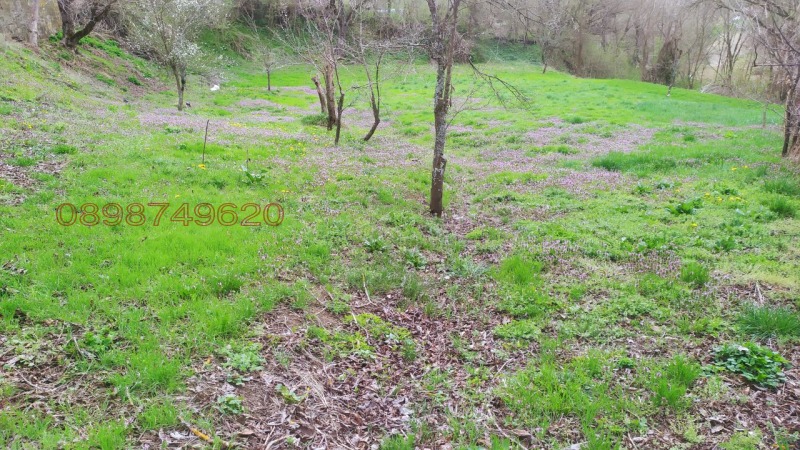 Продава ПАРЦЕЛ, с. Войнежа, област Велико Търново, снимка 8 - Парцели - 52779073