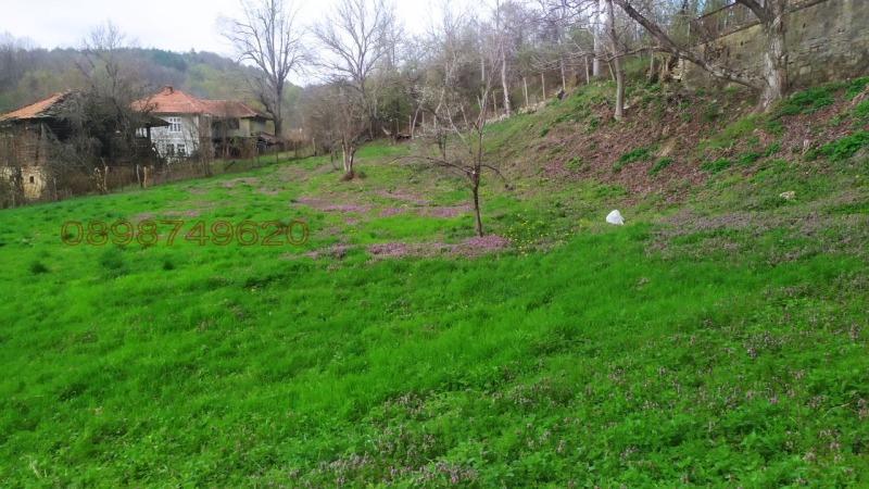 Продава ПАРЦЕЛ, с. Войнежа, област Велико Търново, снимка 6 - Парцели - 52779073