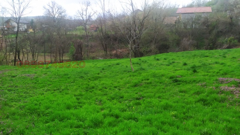 Продава ПАРЦЕЛ, с. Войнежа, област Велико Търново, снимка 5 - Парцели - 52779073