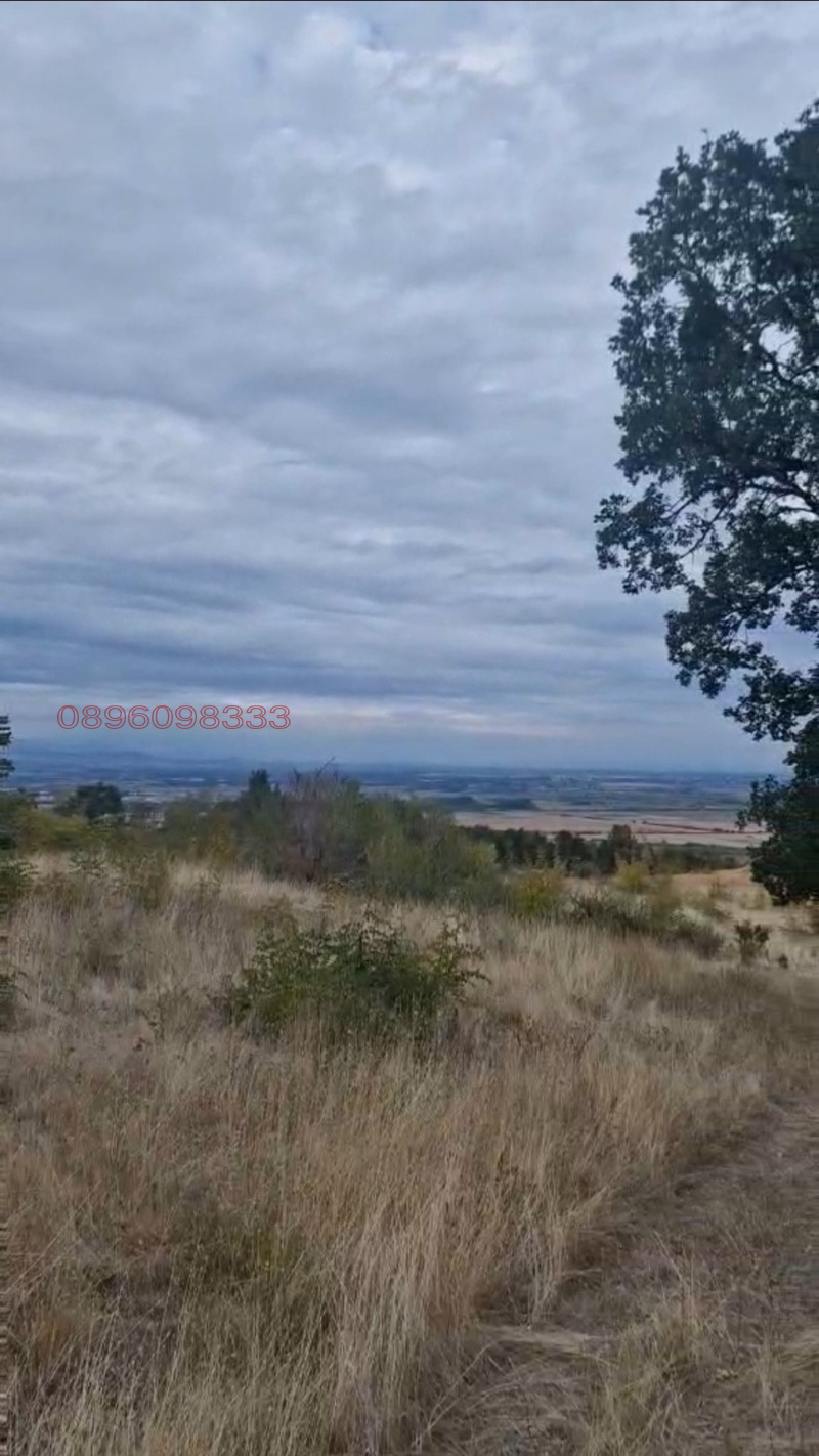 For Sale  Plot region Pazardzhik , Patalenitsa , 821 sq.m | 16139831