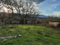 Продава ПАРЦЕЛ, с. Дебръщица, област Пазарджик, снимка 4