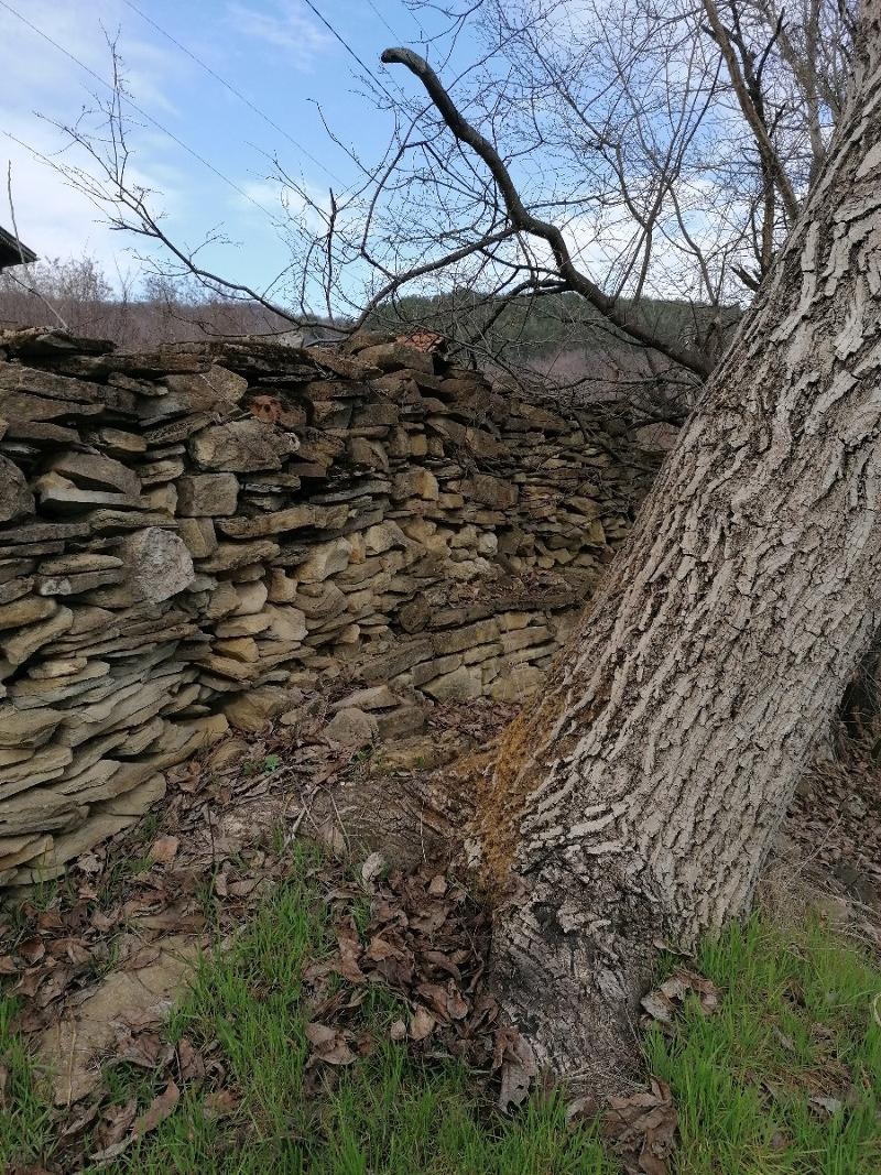 ������� ������ | Imot.bg � ����������� 3